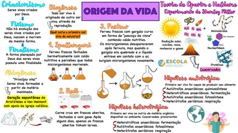 Origem Da Vida Mapa Mental