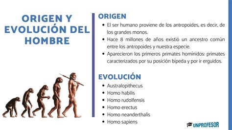 Origen Del Ser Humano