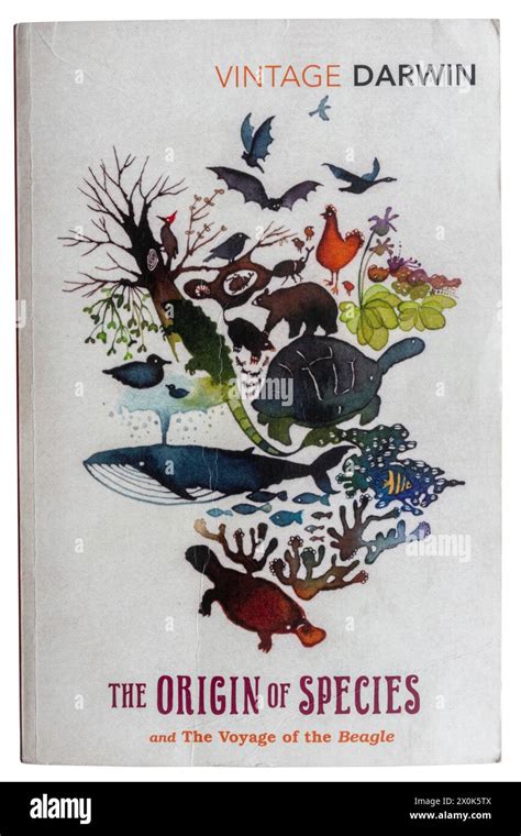 Origin Of Species