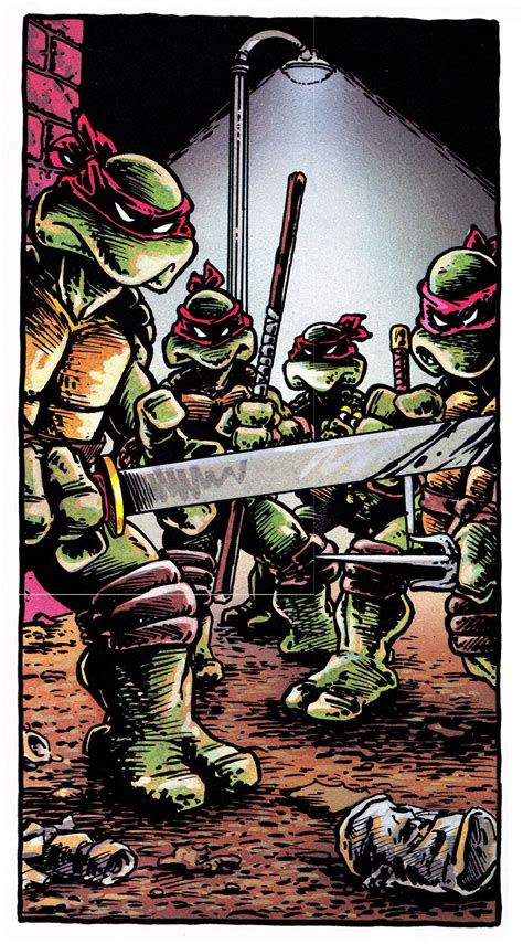 Original Ninja Turtles Comic