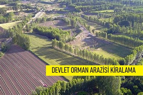 orman arazisi kiralama şartları