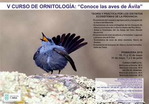 ornitologia-4