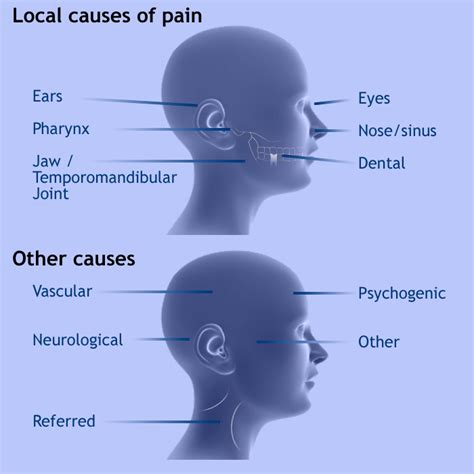 Orofacial Pain And Dysfunction An Issue Of Oral And Maxillofacial Surgery Clinics 1e The Clinics Dentistry