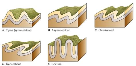 orogenetik | Orogenesis nh ngha phin m v cch