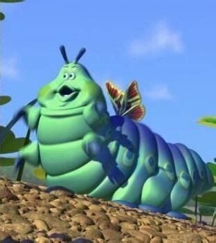 Oruga De Bichos