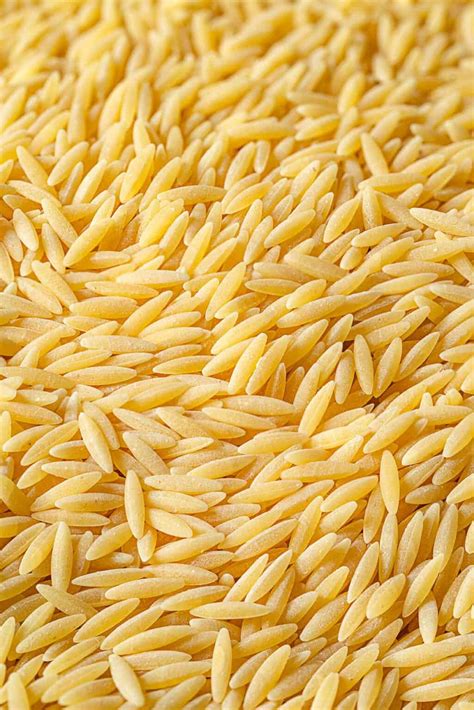 Orzo In Inglese