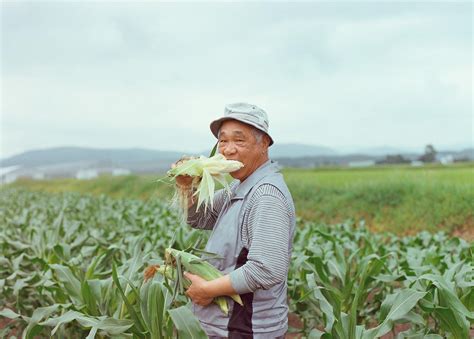 osamu yokonami biography sample