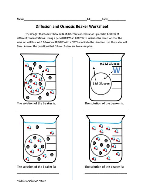 Osmosis And Diffusion Worksheet Live Worksheets Biology Diffusion And Osmosis Worksheet - Biology Diffusion And Osmosis Worksheet