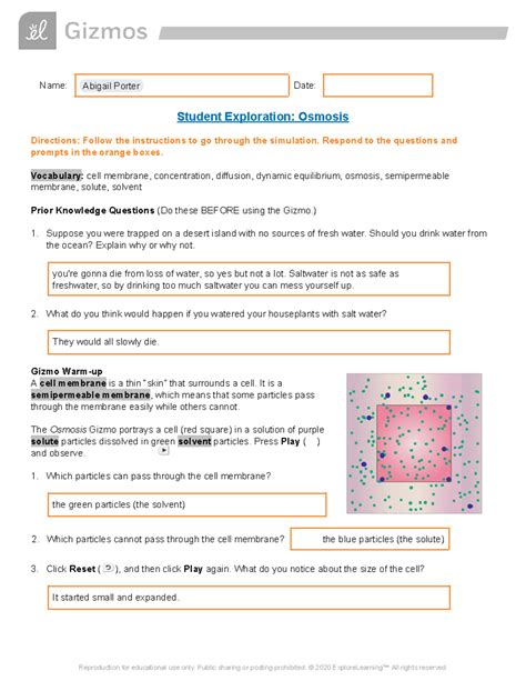 Osmosis Gizmo Answer Key