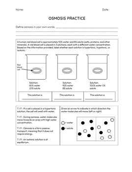 Osmosis Practice Activity Answer Key