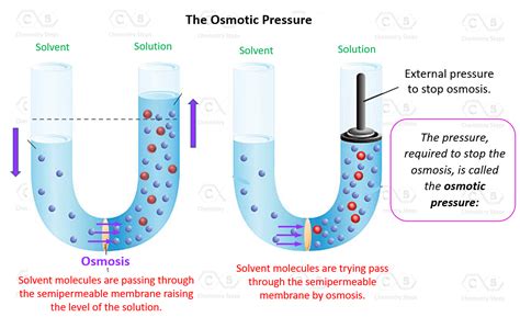 Osmotic Pressure Definition Formula Examples Solved Osmotic Pressure Worksheet - Osmotic Pressure Worksheet