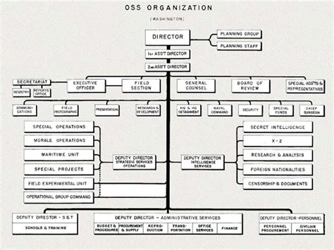 Oss Training Manual