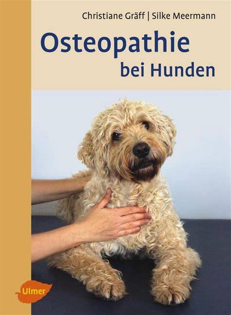osteopathie bei hunden
