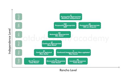 Ot Intervention For Each Ranchos Los Amigos Level