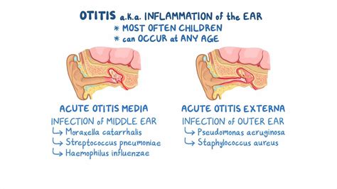 otitis - Wiktionary