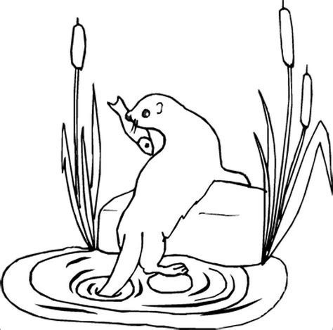 Otter Coloring Pages Coloringbay Sea Otter Coloring Pages - Sea Otter Coloring Pages