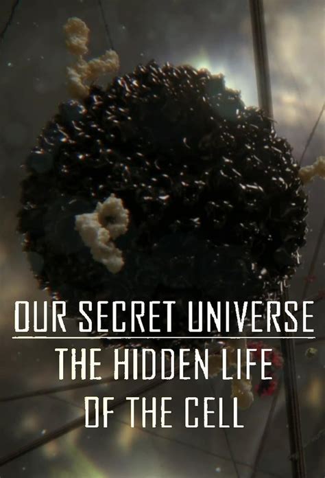 Our Secret Universe Hidden Life Of Cells Flashcards Cell Defense Worksheet Answers - Cell Defense Worksheet Answers