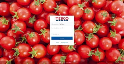 Ourtesco Com Experience
