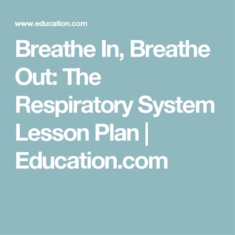 Out Of Breath Lesson Teachengineering Respiratory System Activities For Elementary Students - Respiratory System Activities For Elementary Students