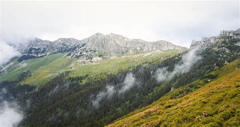 Out Of The Mountains Coming Age Urban Guerrilla David Kilcullen
