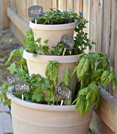 Outdoor Herb Garden Tips