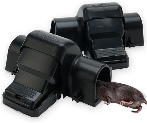 Outdoor Rat Traps