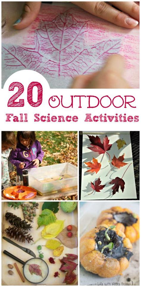 Outdoor Science Activities   20 Fall Science Experiments Preschool Kindergarten Amp - Outdoor Science Activities