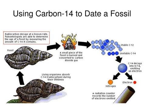 outline a method for dating fossils using carbon 14