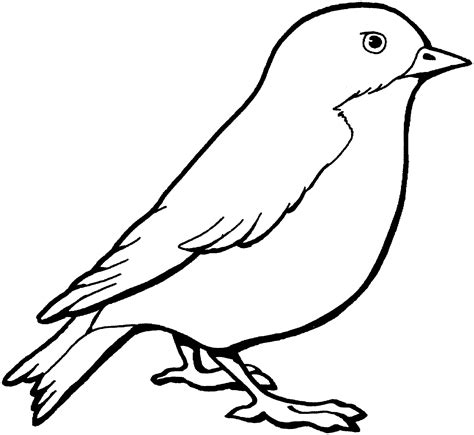 Outline Pictures Of Birds For Colouring   How To Draw Background Birds - Outline Pictures Of Birds For Colouring