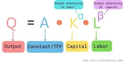 Output Elasticity
