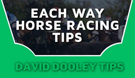 outsider horse racing tips