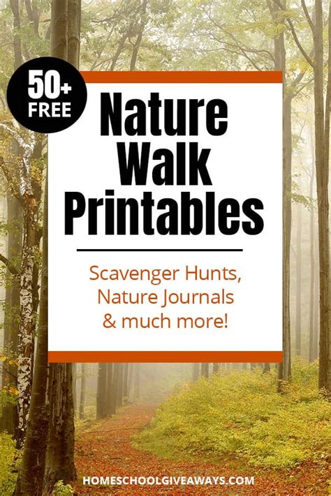 Over 50 Free Nature Walk Printables Homeschool Giveaways Nature Walk Activity Sheet - Nature Walk Activity Sheet