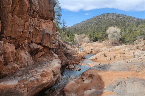 overgaard arizona