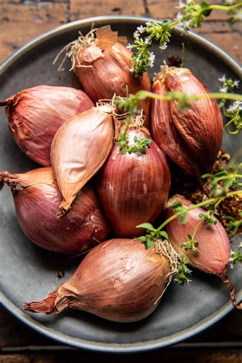 oversattning shallot