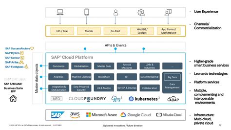 Read Online Overview Sap Cloud Platform 