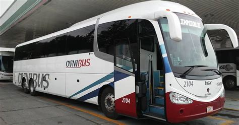 ovnibus