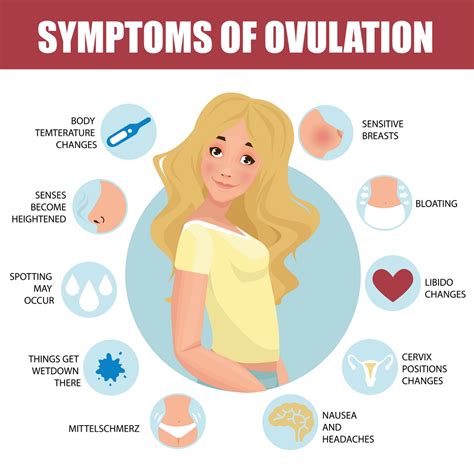 ovulation
