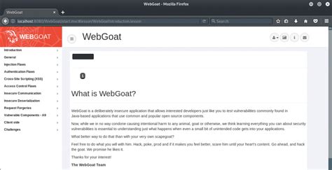 Owasp Webgoat Guide