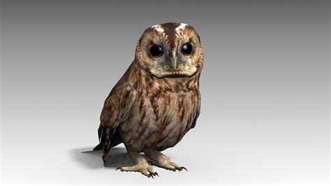 owl 3d model free