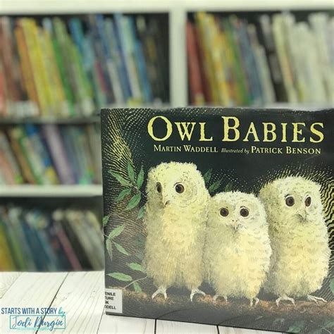 owl babies