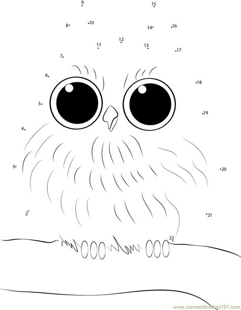 Owl Dot To Dot By Numbers 1 75 Owl Dot To Dot - Owl Dot To Dot