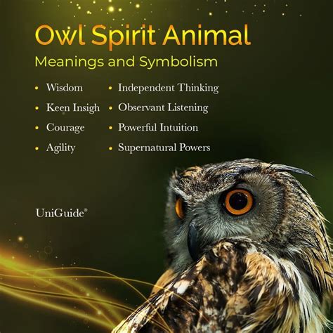 owl eyes spiritual meaning