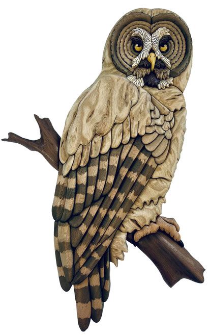 owl intarsia patterns