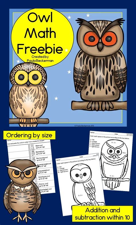 Owl Math Worksheets   Free Printable Owl Life Cycle Worksheets The Keeper - Owl Math Worksheets