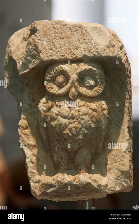 Owl Of Athena Stone