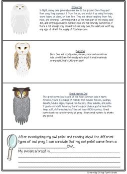 Owl Pellet Exploration By Oh Holy Fourth Grade Owl Pellet Worksheet 4th Grade - Owl Pellet Worksheet 4th Grade