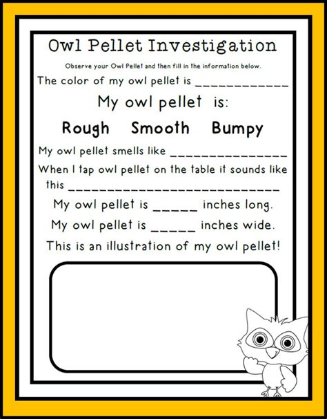 Owl Pellet Worksheet 4th Grade   Owls And Owl Pellet Worksheets Super Teacher Worksheets - Owl Pellet Worksheet 4th Grade