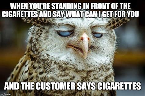 Owl Smoking Cigarette Memes