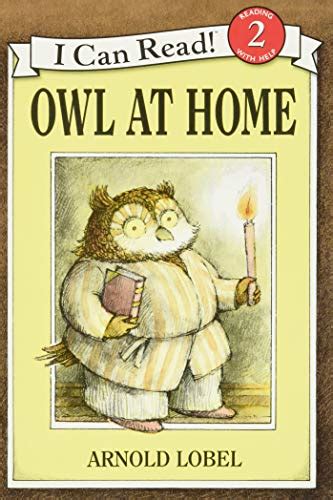 Read Owl At Home I Can Read Level 2 