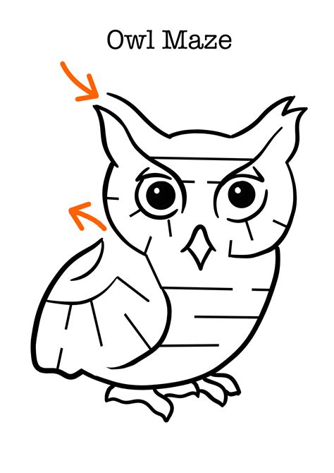 Owls Html Worksheets Theworksheets Com Owl Math Worksheets - Owl Math Worksheets